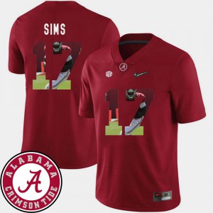 For Men's Alabama Roll Tide #17 Cam Sims Crimson Pictorial Fashion Football Jersey 808537-348