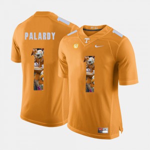 For Men's Tennessee Vols #1 Michael Palardy Orange Pictorial Fashion Jersey 727492-784