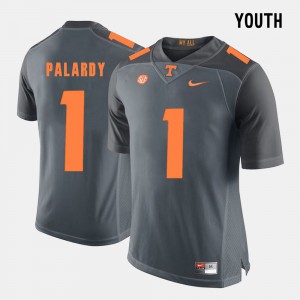 Youth(Kids) Vols #1 Michael Palardy Grey College Football Jersey 682052-809