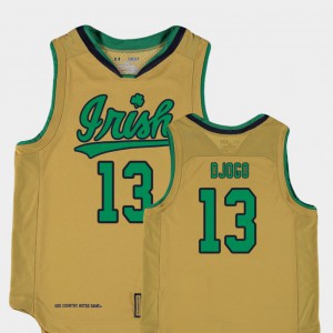 Youth University of Notre Dame #13 Nikola Djogo Gold Replica College Basketball Special Games Jersey 982386-237