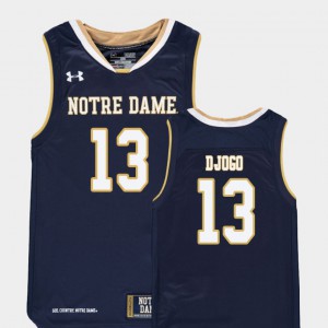 Kids Notre Dame Fighting Irish #13 Nikola Djogo Navy Replica College Basketball Jersey 396462-429